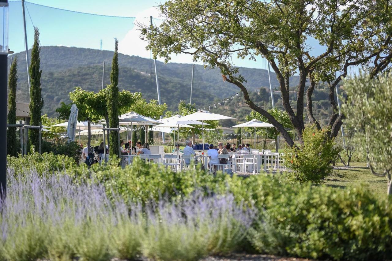 Clos Des Oliviers Grimaud - Meuble De Tourisme Kültér fotó